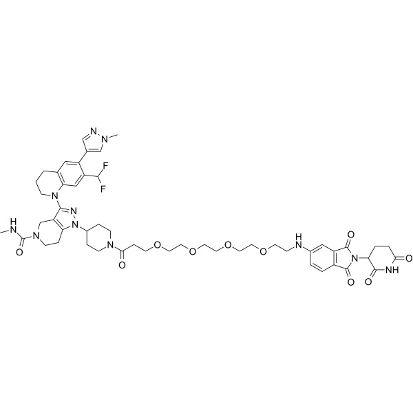 dCBP-1 Structure