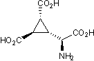 DCG IV Structure