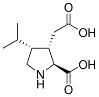 Dihydrokainic acid Structure