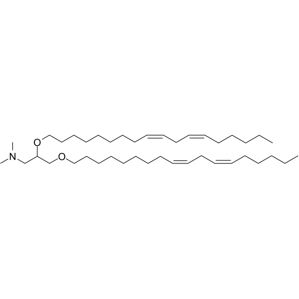 DLinDMA Structure