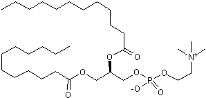 DLPC Structure