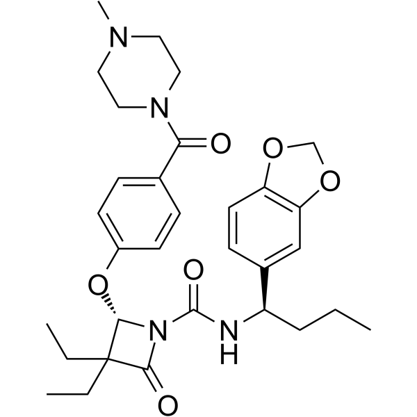 DMP 777 Structure