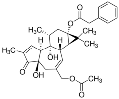 dPPA Structure