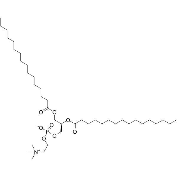 DPPC Structure