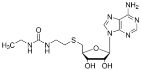 DS-437 Structure