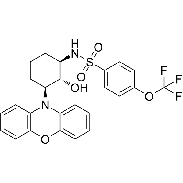 DT-061 Structure