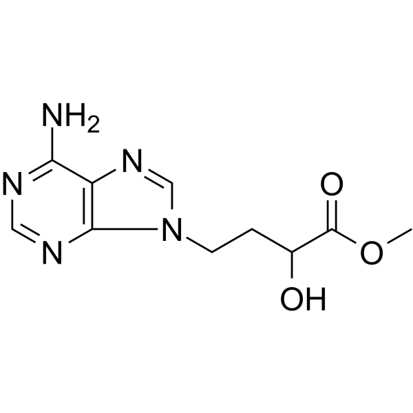 DZ2002 Structure