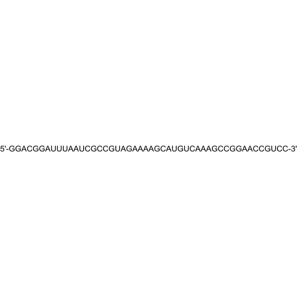 E07 aptamer Structure