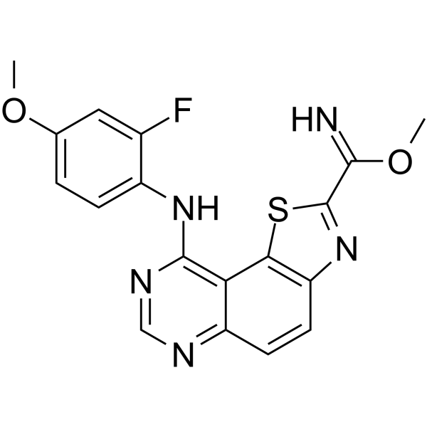 EHT 1610 Structure