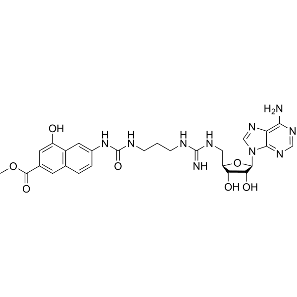 EML734 Structure