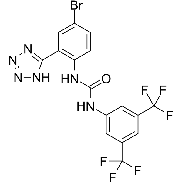 Endovion Structure