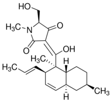 Equisetin Structure