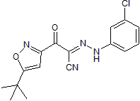 ESI 09 Structure