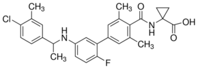 Ex26 Structure