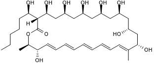 Filipin III Structure