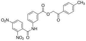 FM19G11 Structure