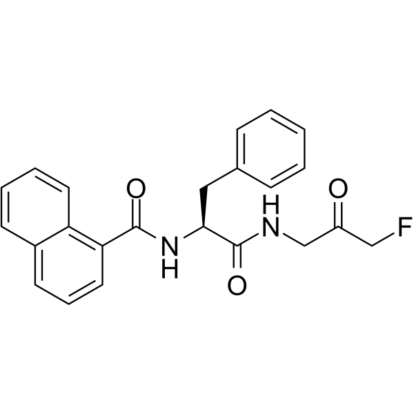 FMK 9a Structure