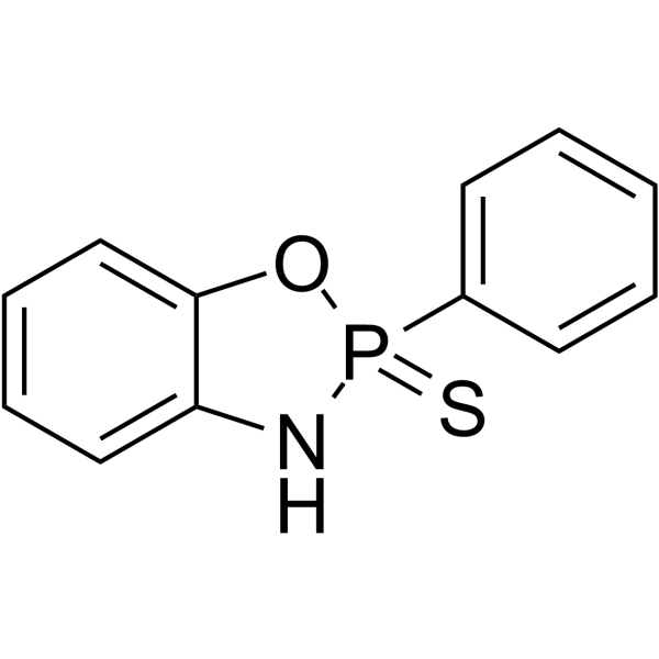 FW1256 Structure