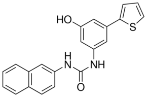FzM1 Structure