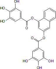G 28UCM Structure