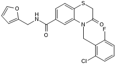 G10 Structure