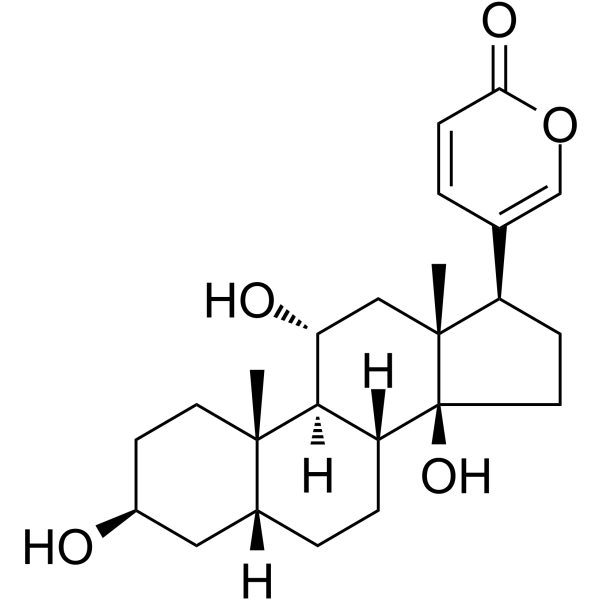 Gamabufotalin Structure