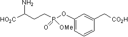 GGsTop Structure