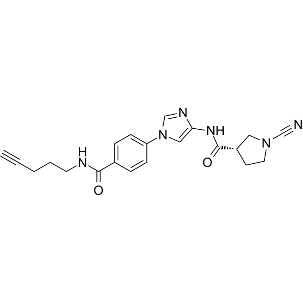 GK13S Structure