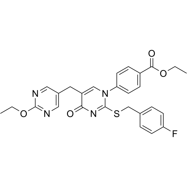 GW-1100 Structure