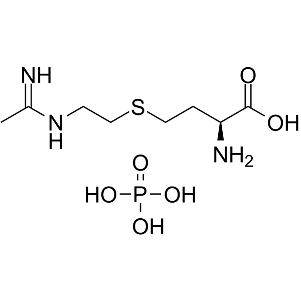GW274150 phosphate Structure