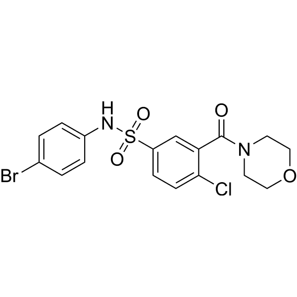 h-NTPDase-IN-1 Structure