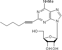 HEMADO Structure