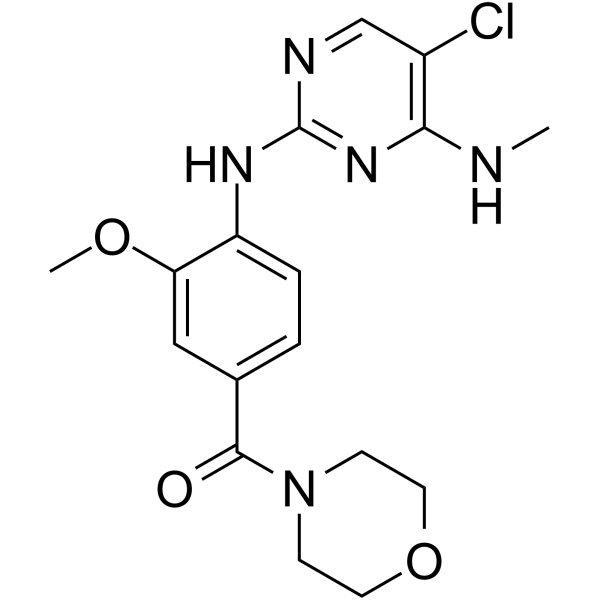 HG-10-102-01 Structure