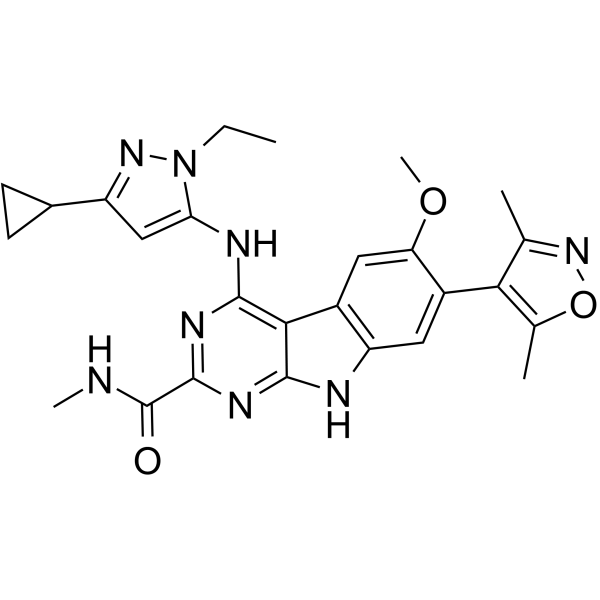 HJB97 Structure