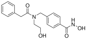 HPB Structure