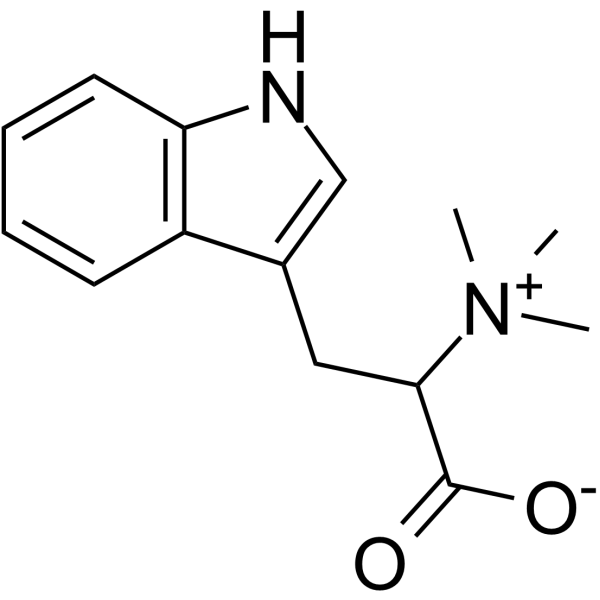 Hypaphorine Structure