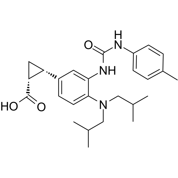 IDO-IN-4 Structure