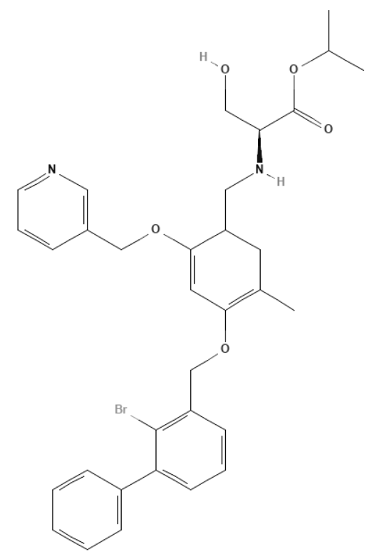 IMMH-010 Structure