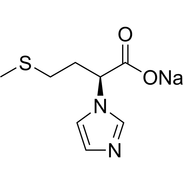 IZS-M Structure
