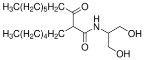 K6PC-5 Structure