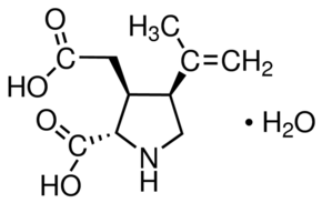 Kainic acid monohydrate Structure