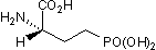 L-AP4 Structure