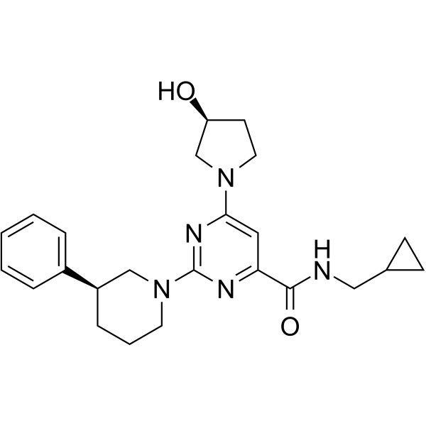 LEI-401 Structure