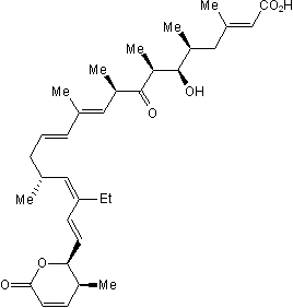 Leptomycin B Structure