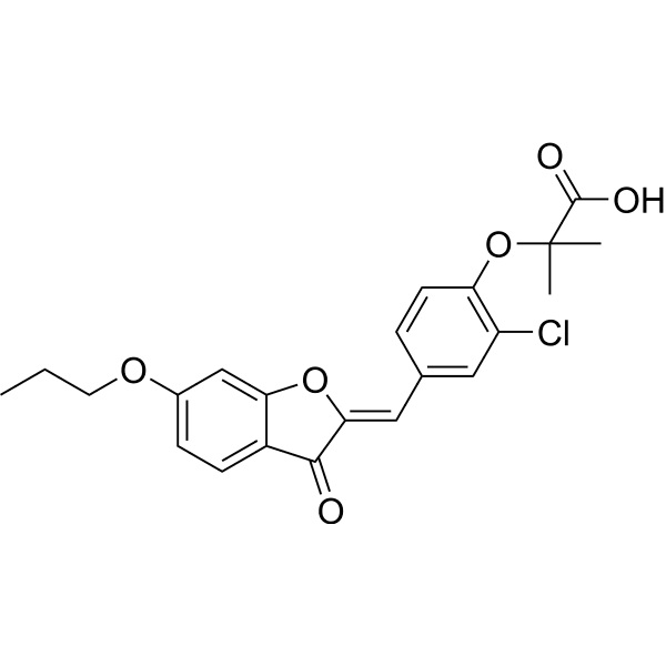 LK-44 Structure