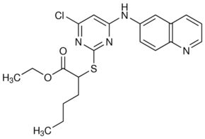 LP117 Structure