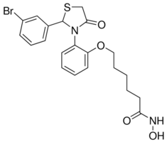 LW479 Structure