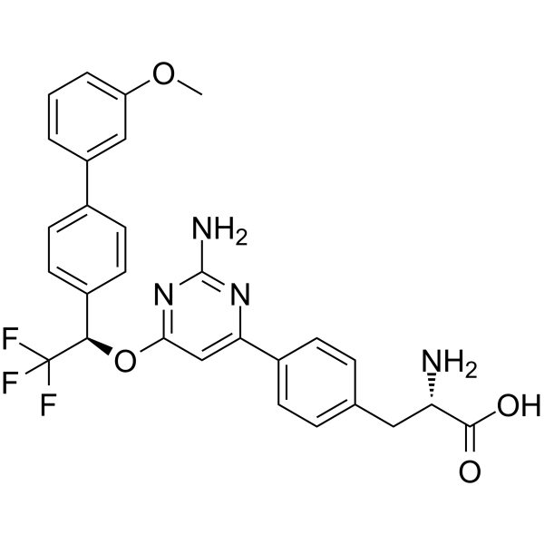 LX-1031 Structure