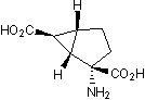 LY 354740 Structure
