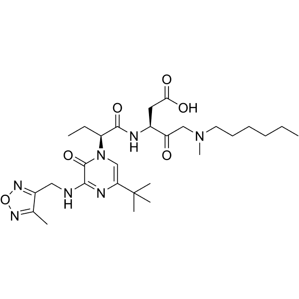 M826 Structure